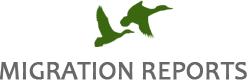 Migration Reports