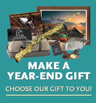 Make a Year-End Gift